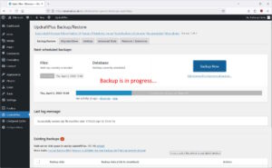 Make a manual backup of WordPress website